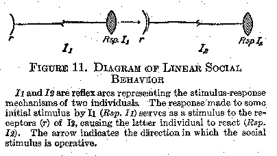 Figure 11 Diagram of Linear Social Behavior