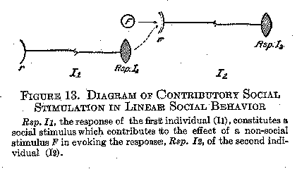 Figure 13 Diagram of Contributory Social Stimulation in Linear Social Behavior