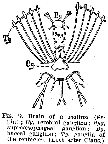 Ang01_09.gif (12874 bytes)