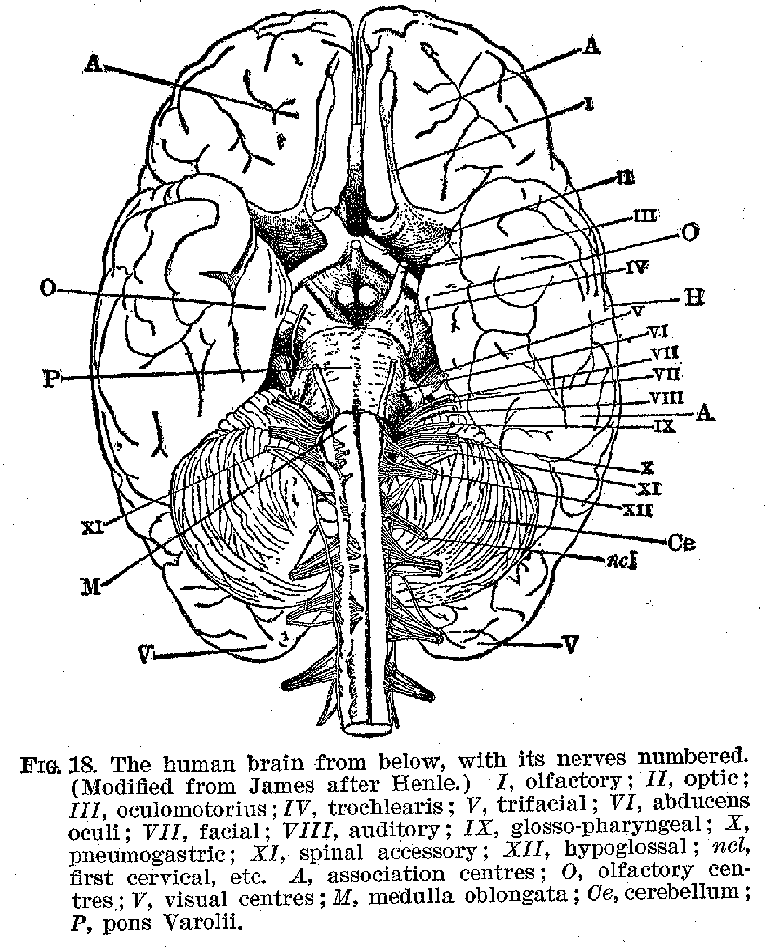 Ang01_18.gif (40397 bytes)
