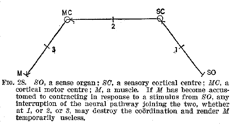 Ang01_28.gif (9704 bytes)