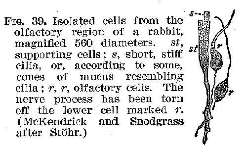 Ang01_39.gif (9214 bytes)