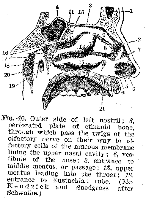 Ang01_40.gif (41324 bytes)