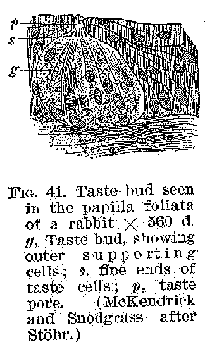 Ang01_41.gif (12488 bytes)