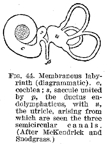 Ang01_44.gif (14559 bytes)