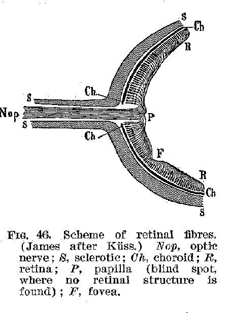 Ang01_46.gif (12029 bytes)