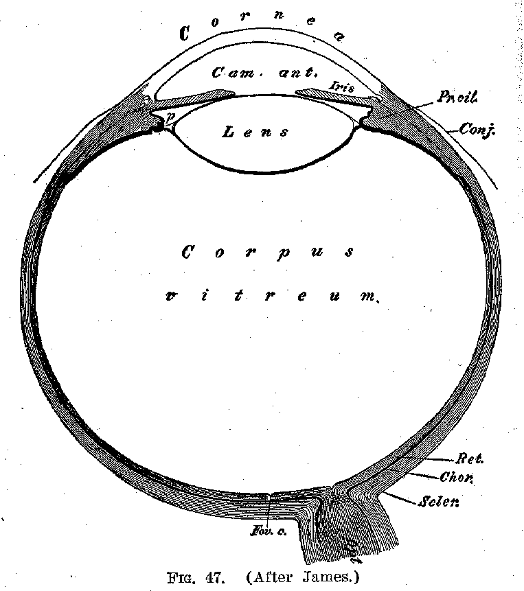 Ang01_47.gif (20142 bytes)