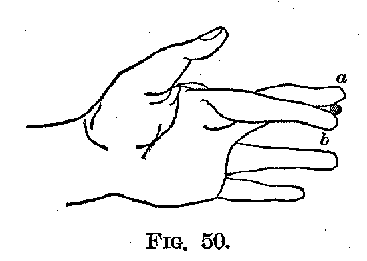 Ang01_50.gif (2951 bytes)