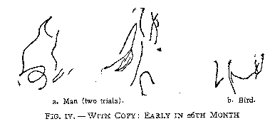 Figure 4, with copy, early in the 26th month