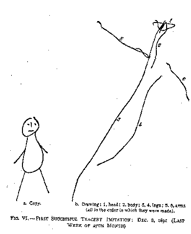 Figure 6, first successful tracery imitation