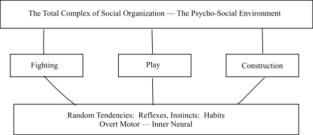 the sychosocal environment