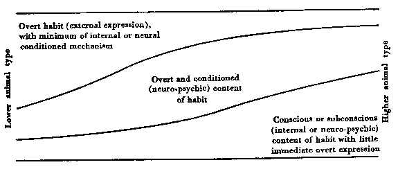 Relative importance of phases of action