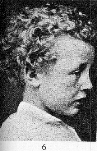 darwin2f.jpg (84944 bytes)