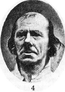 darwin3d.jpg (43538 bytes)