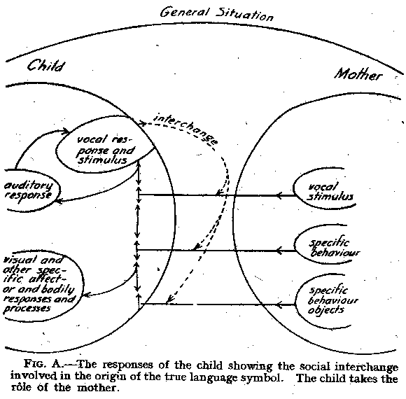 Figure A. The responses of the child showing the social interchange involved in the origins of the true language symbol