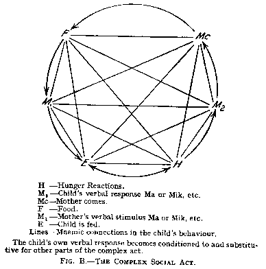 Figure B. The Complex Social Act