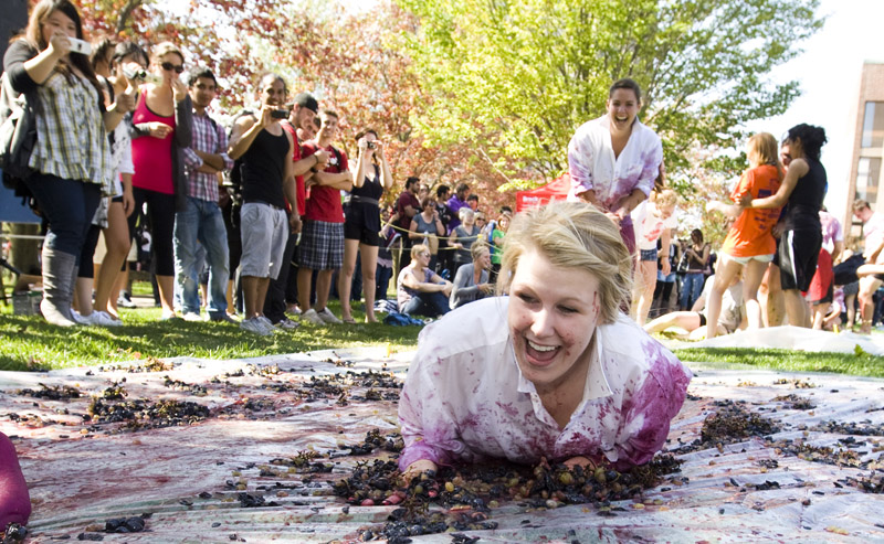 grapestomp2