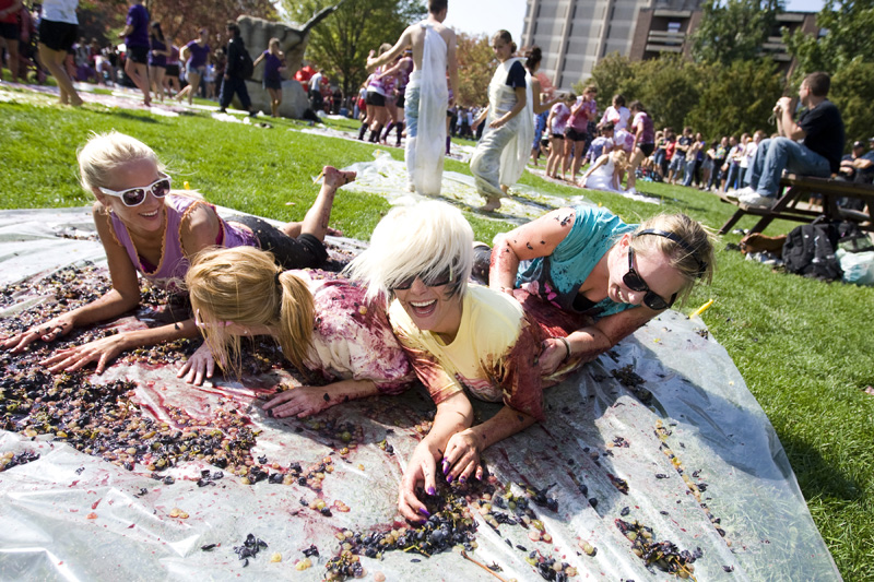 grapestomp4