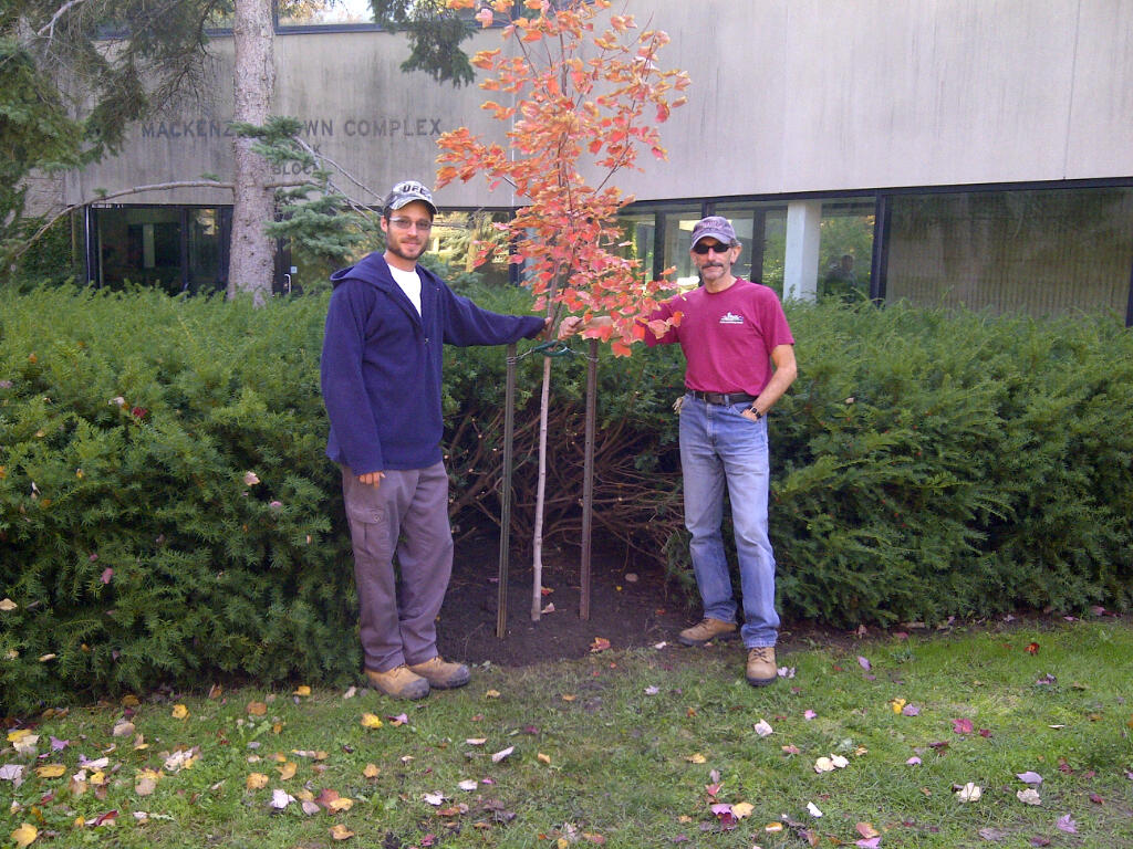Richard Coker Memorial Tree Richard Coker Memorial Tree